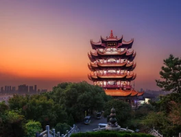 wuhan: What Happened and the Internet's Reactions