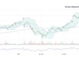 anet stock: Q3 Results, Mediocre Guidance, and Investor Reaction